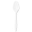 Style Setter Mediumweight Plastic Teaspoons, White, 1000/CS